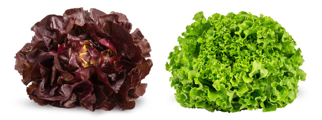Fresh red and green lettuce isolated on white background. Bio vegetables. - obrazy, fototapety, plakaty
