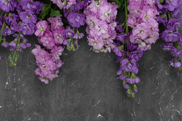 Fototapeta na wymiar Bouquet of purple spring flowers on wall background. Copy space. Mathiola flowers.