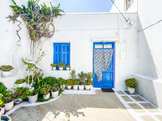 Fototapeta na wymiar Typical greek front yard with white wall, blue door and lots of plants to decorate