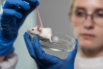 testing drugs and vaccine on mice.
