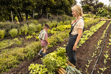 Happy single mother harvesting vegetables with her son