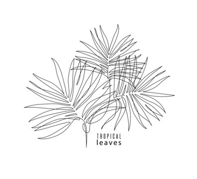 Tropical label with palm tree leaves, continuous drawing. Outline symbol, line icon, trendy pattern, beach print.