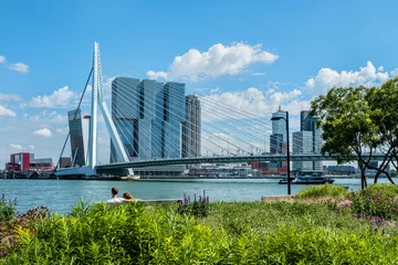 Stickers pour porte Pont Érasme Rotterdam, Hollande du Sud, Pays-Bas