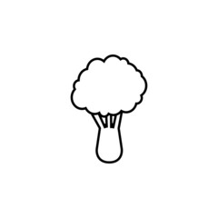 broccoli icon, vegan vector, healthy illustration