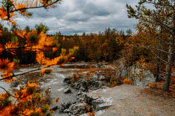 karelia autumn russia forest woods