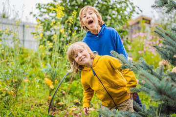 Boys in the vegetable garden. Homeschooling, natural education of children, unschooling