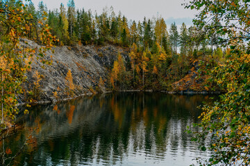 karelia autumn russia forest woods