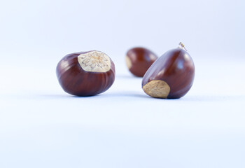 A group of three sweet chestnuts on a white background