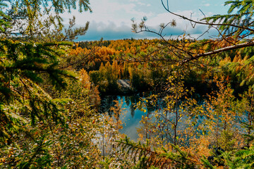 karelia autumn russia forest woods