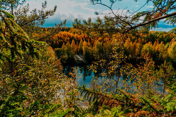 karelia autumn russia forest woods