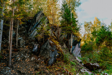 karelia autumn russia forest woods