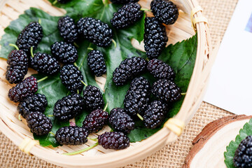 Ripe large black mulberries close up