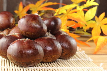 秋の味覚 複数の愛媛産の利平栗と紅葉