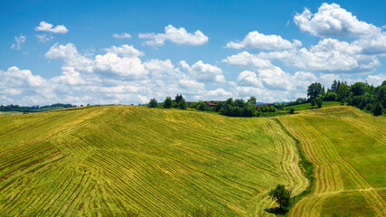 Fototapeta premium Rural landscape near Sala Baganza and Fornovo, Parma, at springtime