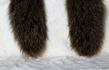 brown hair on abstract white fur background