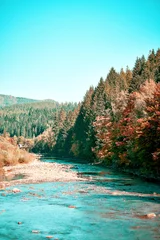 Fototapete Pool Landschaft mit Blick auf einen Gebirgsfluss, Pinien und ein Ufer mit getönter Farbe. Herbstkarpaten