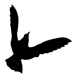 Concept of love or peace. Silhouettes doves