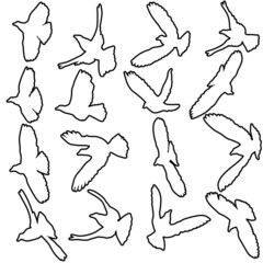 Concept of love or peace. Set silhouettes doves