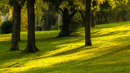 light of an autumn morning in a park, in Provence