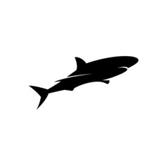 Illustration vector graphic template of shark silhouette logo