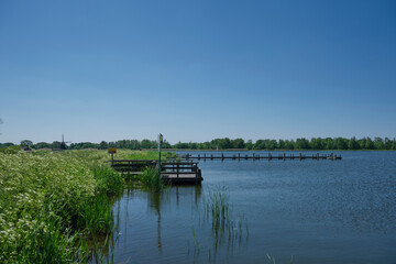 Lakeside in a typical dutch landscape in the summer
