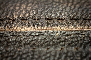 Extreme closeup of a leather