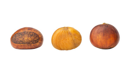 Brown chestnut on a white background.