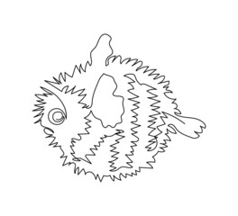 Puffer fish, hedgehog fish continuous line drawing. One line art of fish, seafood, poisonous fish. - obrazy, fototapety, plakaty