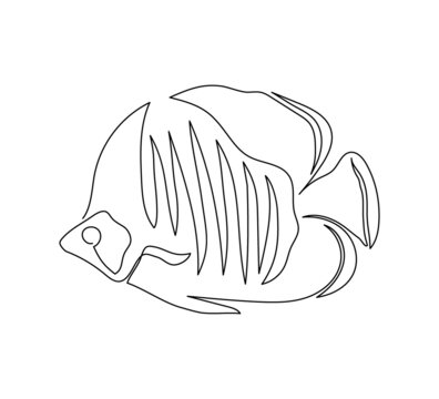 recommend clip art: Zebrasoma xanthurum, angel fish continuous line drawing. One line art of exotic, tropical fish, seafood.