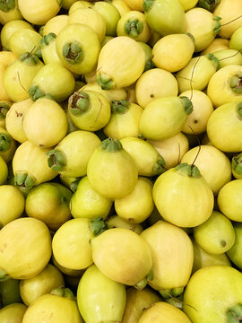 Pomarrosa