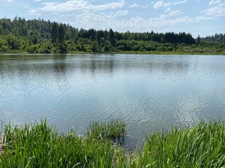 Lake Bajer or Artificial reservoir Bajer on the river Licanka, Fuzine - Gorski kotar, Croatia (Umjetno akumulacijsko jezero Bajer na rijeci Ličanki ili Bajersko jezero, Fužine - Gorski kotar, Hrvatska