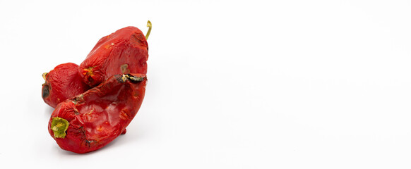 Rotten red pepper on a white background. Food waste concept. Copy space
