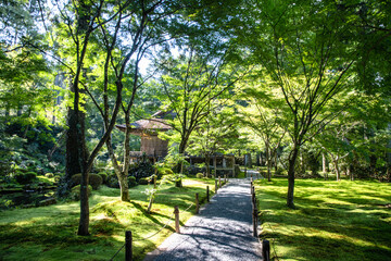 寺院の庭の小路