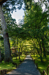 寺院の庭の小路