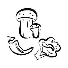 Assorted vegetable vector doodle set