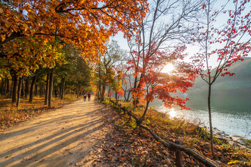Autumn in South Korea