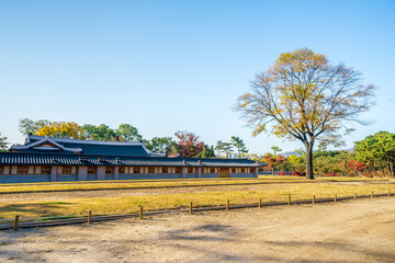 Obraz premium Autumn in South Korea
