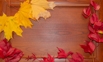 Autumn yellow and red leaves over wooden background with copy space.