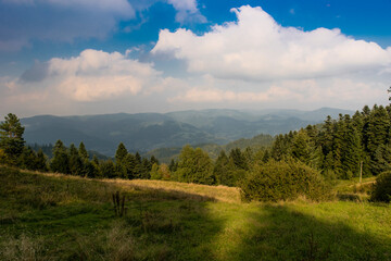 niebo, drzew, krajobraz, drzew, zieleń, góra, blękit, lato, chmura, góra, park, jesienią, górka, piękne, pola