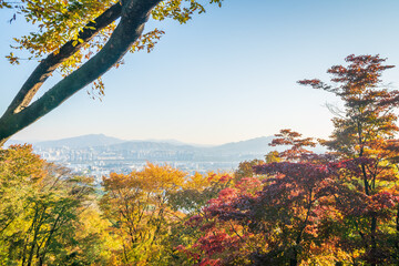 Autumn in South Korea
