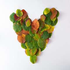 Heart of autumn leaves on a white background. Autumn concept.Flat lay