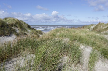 North sea beach, island Ameland, Dutch.