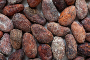 Cocoa bean background. Whole coco seeds close-up texture.