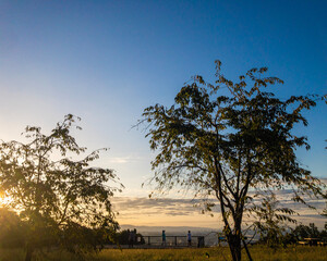 tree at sunset