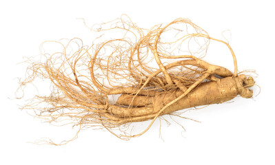 ginseng isolated on white background