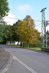 Dorfstraße in Aremberg mit Herbstbaum