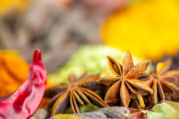 Various spices, peppers and herbs close-up top view. Eastern spice market. A set of peppers and spices for cooking.