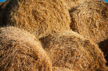 Hay bales on the field. Hay texture close up.