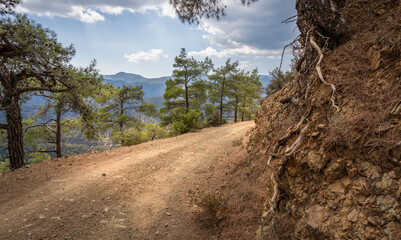 Fototapeta na wymiar Serpentine dirt road leading through the forested Troodos mountain range of the island of Cyprus
