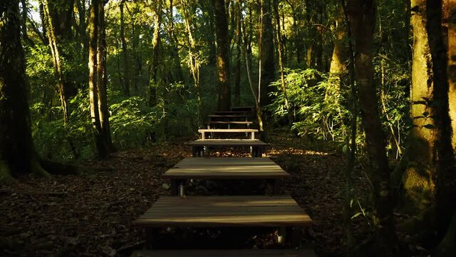 Wooden staircase on kew mae pan nature trail which is a tropical rainforest, famous tourist attraction of Thai people.
